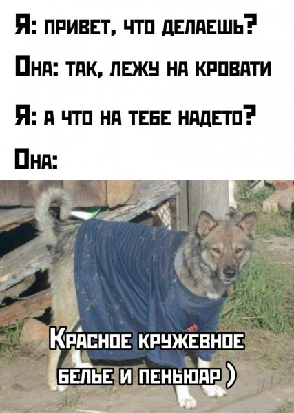Мем: Юмор с пошлинкой, iteam