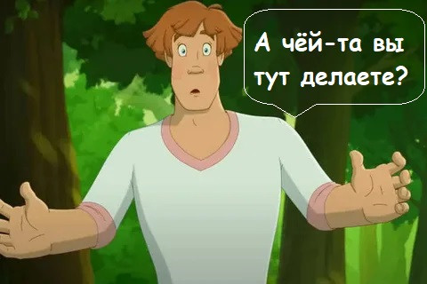 Мем, Лис Интересный