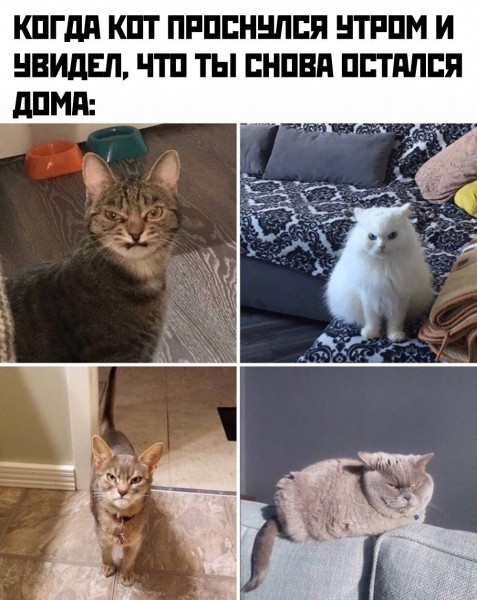 Мем, Леонид Хлыновский