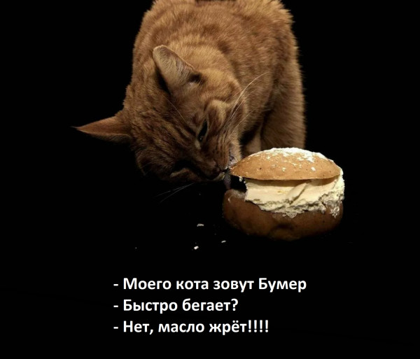 Мем, Mghost