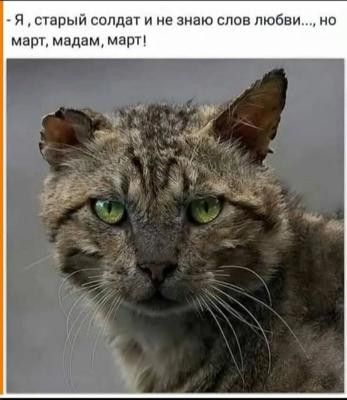 Мем, Mghost