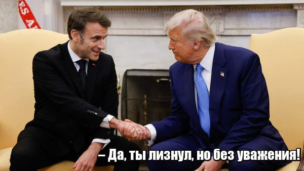 Мем, Dinenti 78