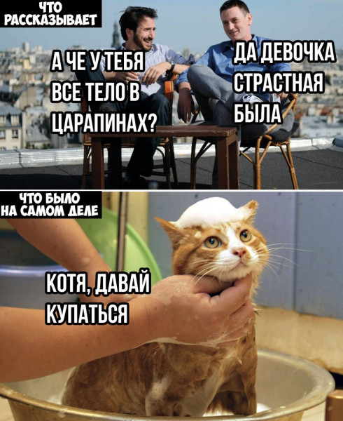 Мем, henh