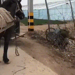 Мем: Не бойся, я с тобой!