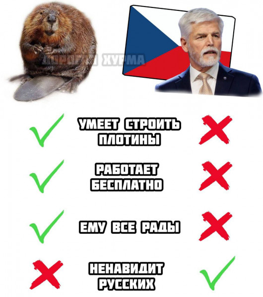 Мем