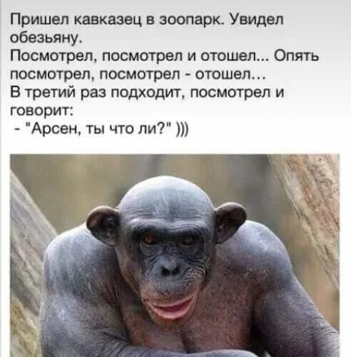 Мем, Mghost