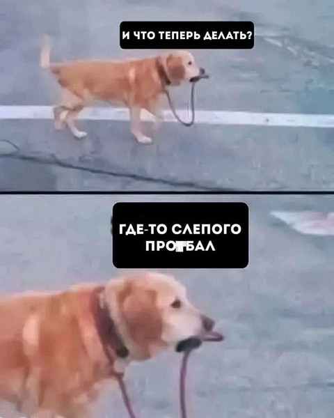 Мем, Mghost