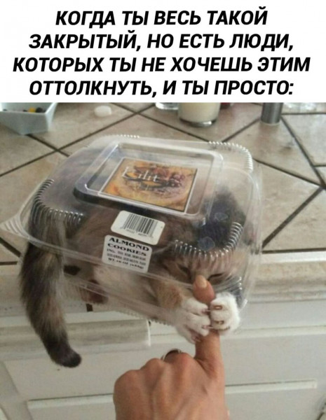 Мем, Леонид Хлыновский
