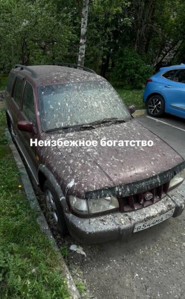 Мем, тратата
