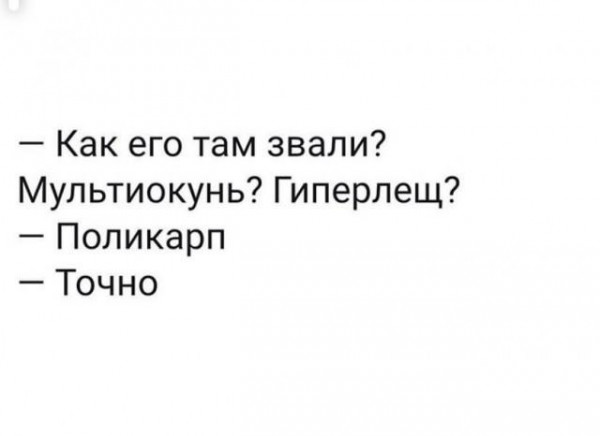 Мем, Yourrry
