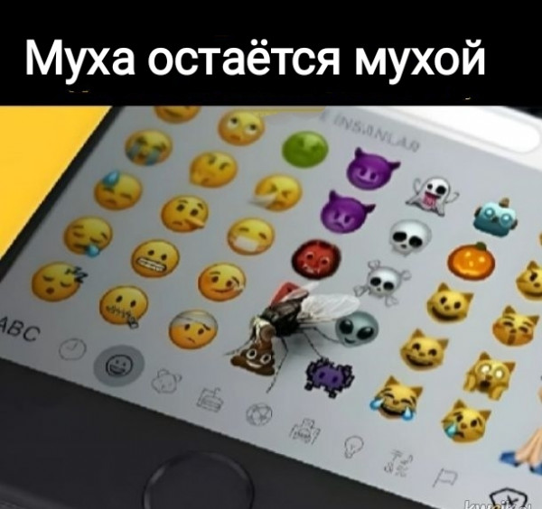 Мем, Рысь