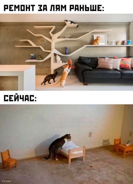 Мем: Прикол дня, iteam