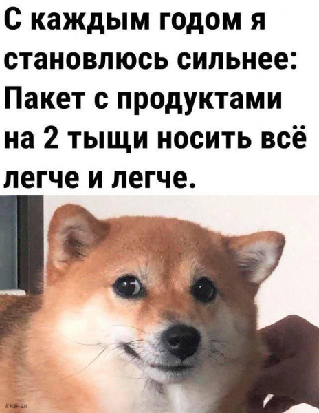 Мем: Прикол дня, iteam