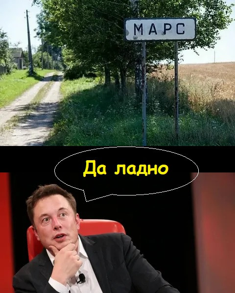 Мем, Лис Интересный