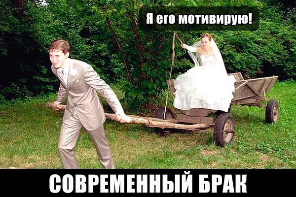 Мем, Ю