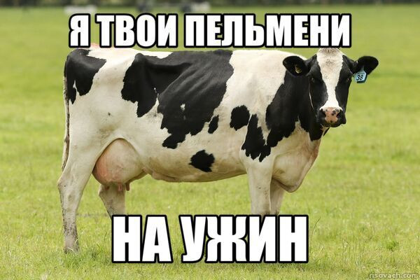 Мем: УЖИН ОБЫЧНОГО РОССИЯНИНА, JORA_87