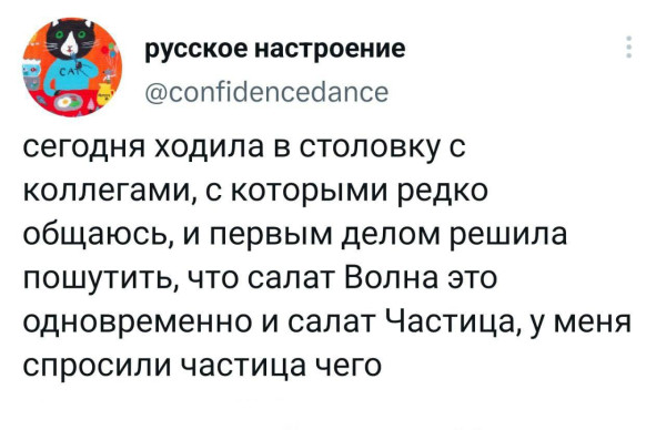 Мем, Максим Камерер