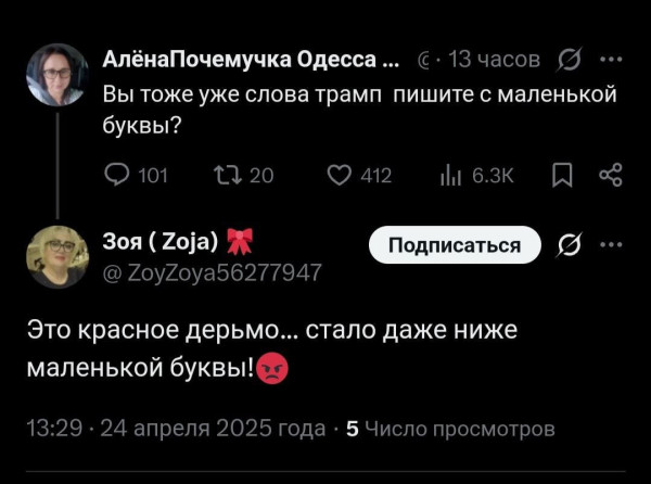 Мем, Максим Камерер