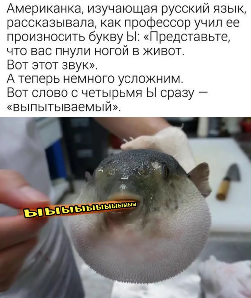 Мем, henh
