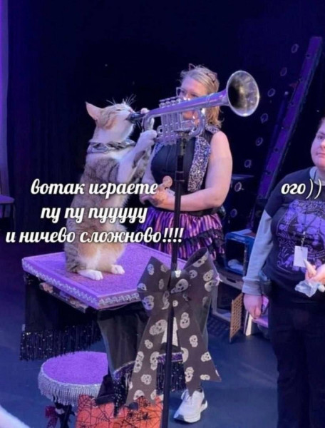 Мем, henh
