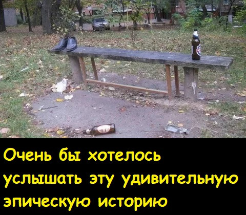 Мем, Лис Интересный