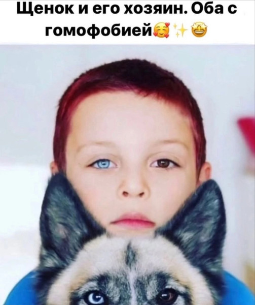 Мем, Кот Отморозкин
