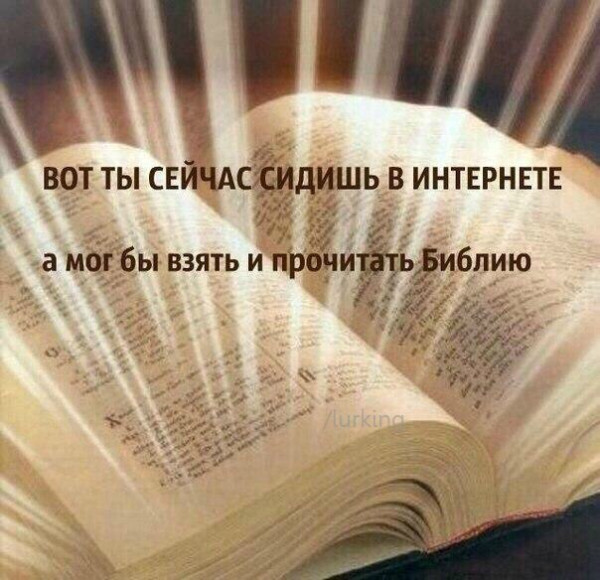 Мем, Кот Отморозкин