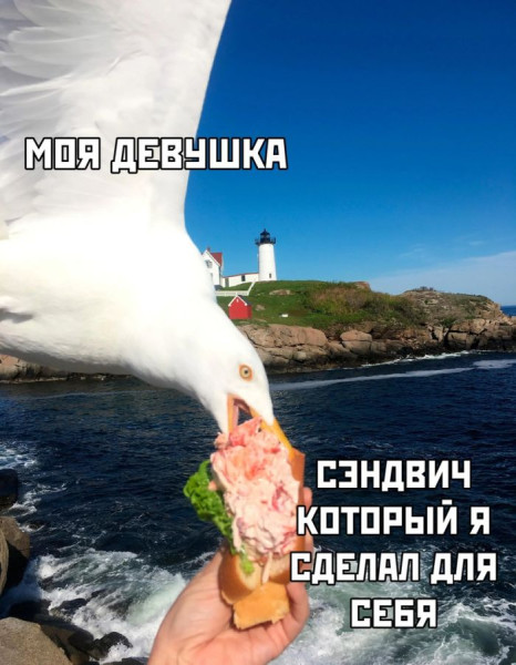 Мем: Коротко о девушках, iteam