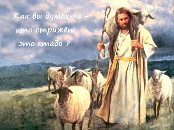 Мем: Стадо, Асталависта Сеньора