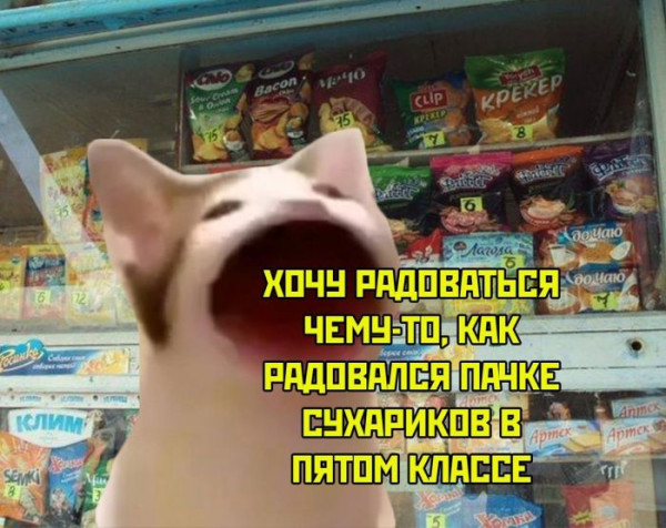 Мем: Жизненно, iteam