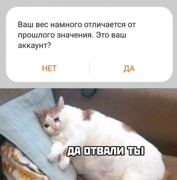 Мем: Эх жизнь, iteam