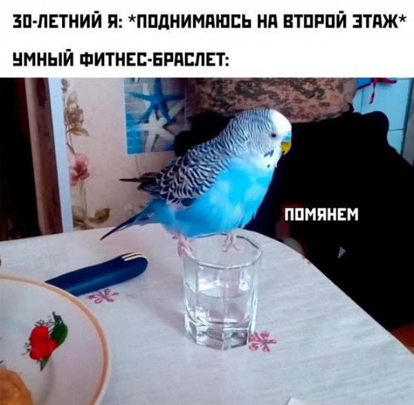 Мем: Юмор на день, iteam