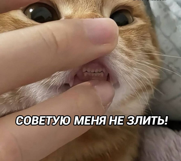 Мем, Леонид Хлыновский