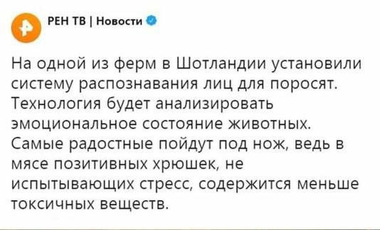 Мем, Максим Камерер