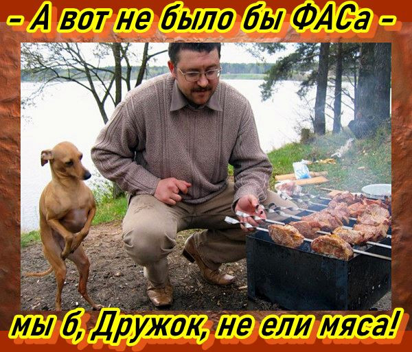 Мем, Вася с усами
