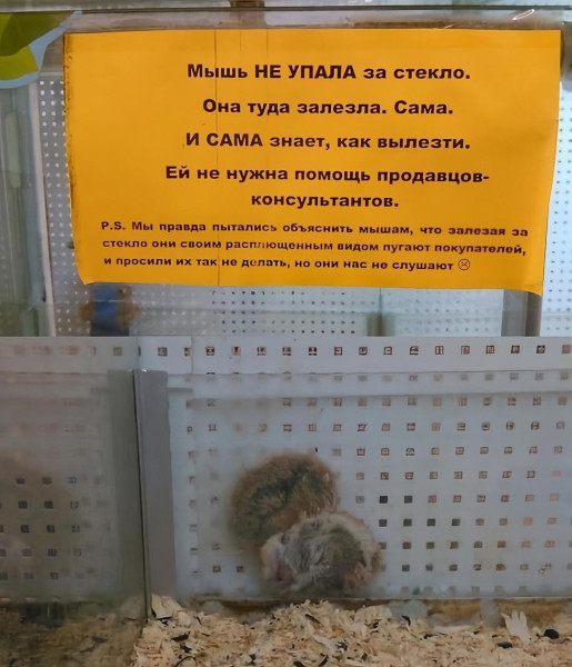 Мем, henh