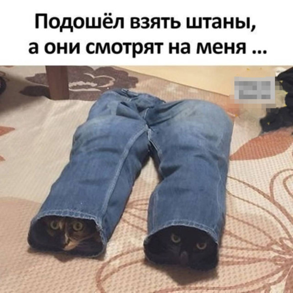 Мем, anberg