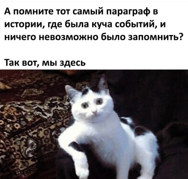 Мем, ArsenZahar