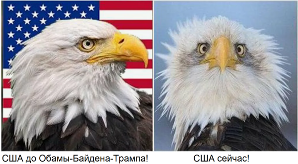 Мем: The USA in past & now!, МАЩ