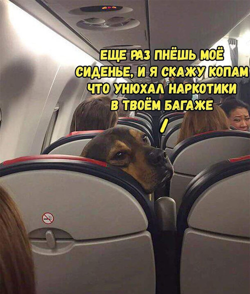 Мем, Mghost