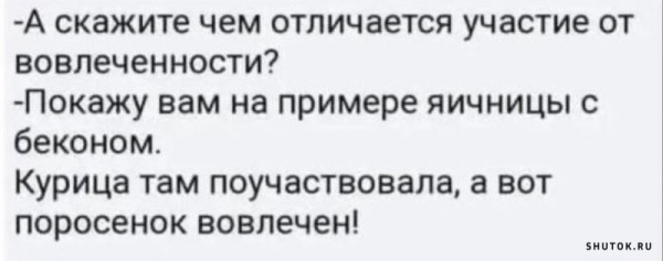 Мем, Vovei31