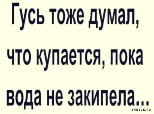 Мем, Vovei31