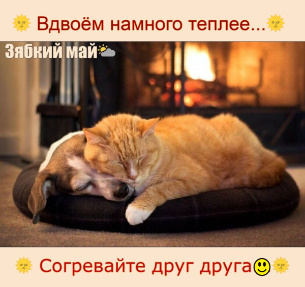 Мем
