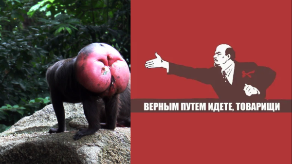 Мем