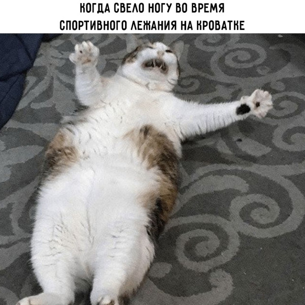Мем, Леонид Хлыновский