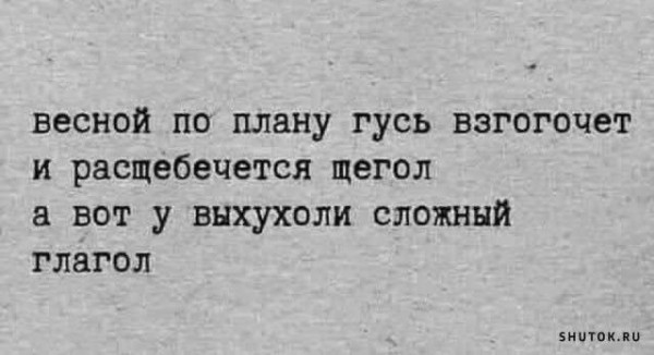 Мем, Vovei31