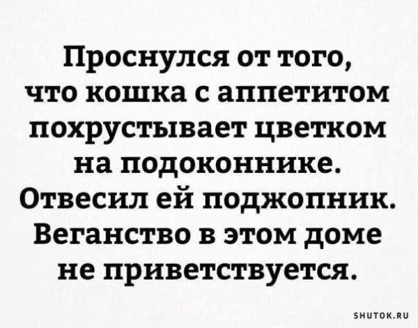 Мем, Vovei31