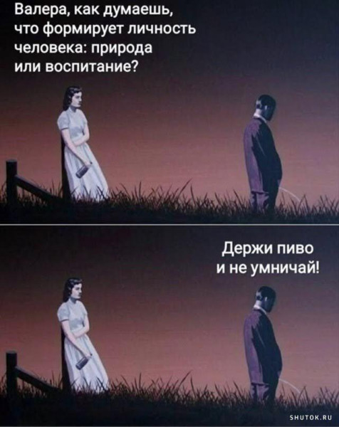 Мем, Vovei31
