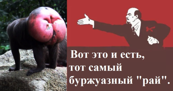 Мем