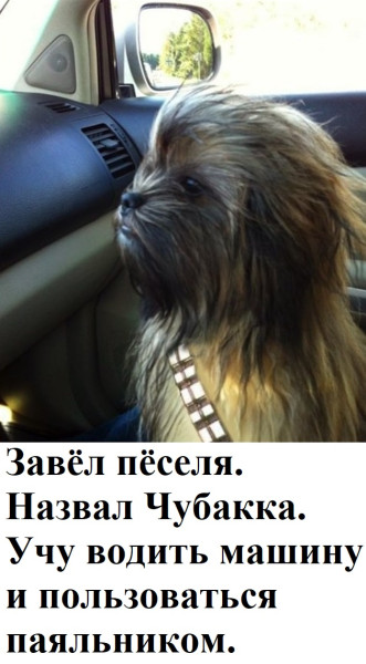 Мем